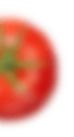 shape-img